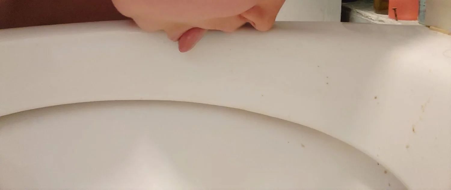 Dirty Toilet Pig main image