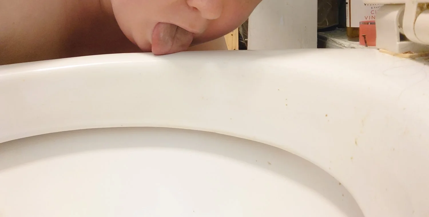 Dirty Toilet Pig image 2