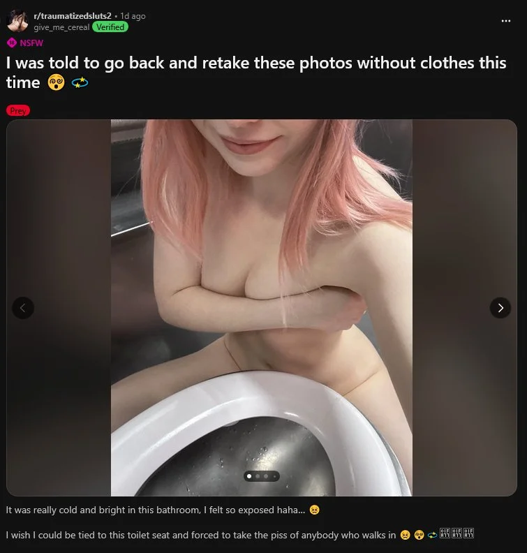 Reddit cunt in a public toilet for men's validation image 11