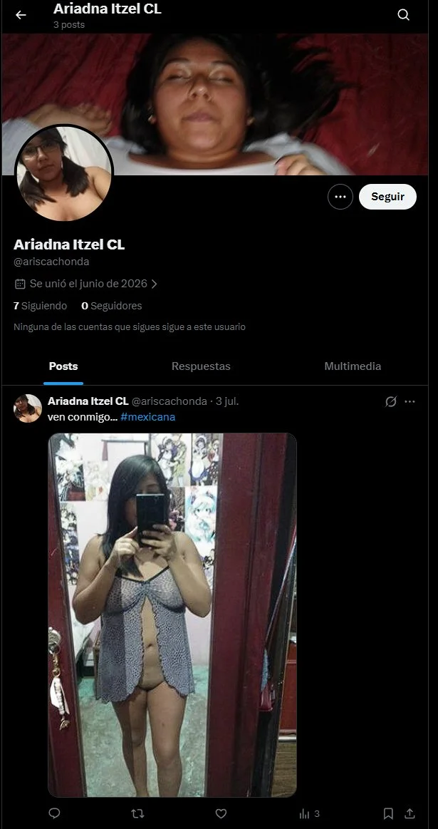 Ariadna Itzel exhibida info CDMX image 1