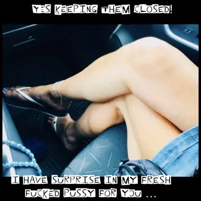 Fans of the content cover image