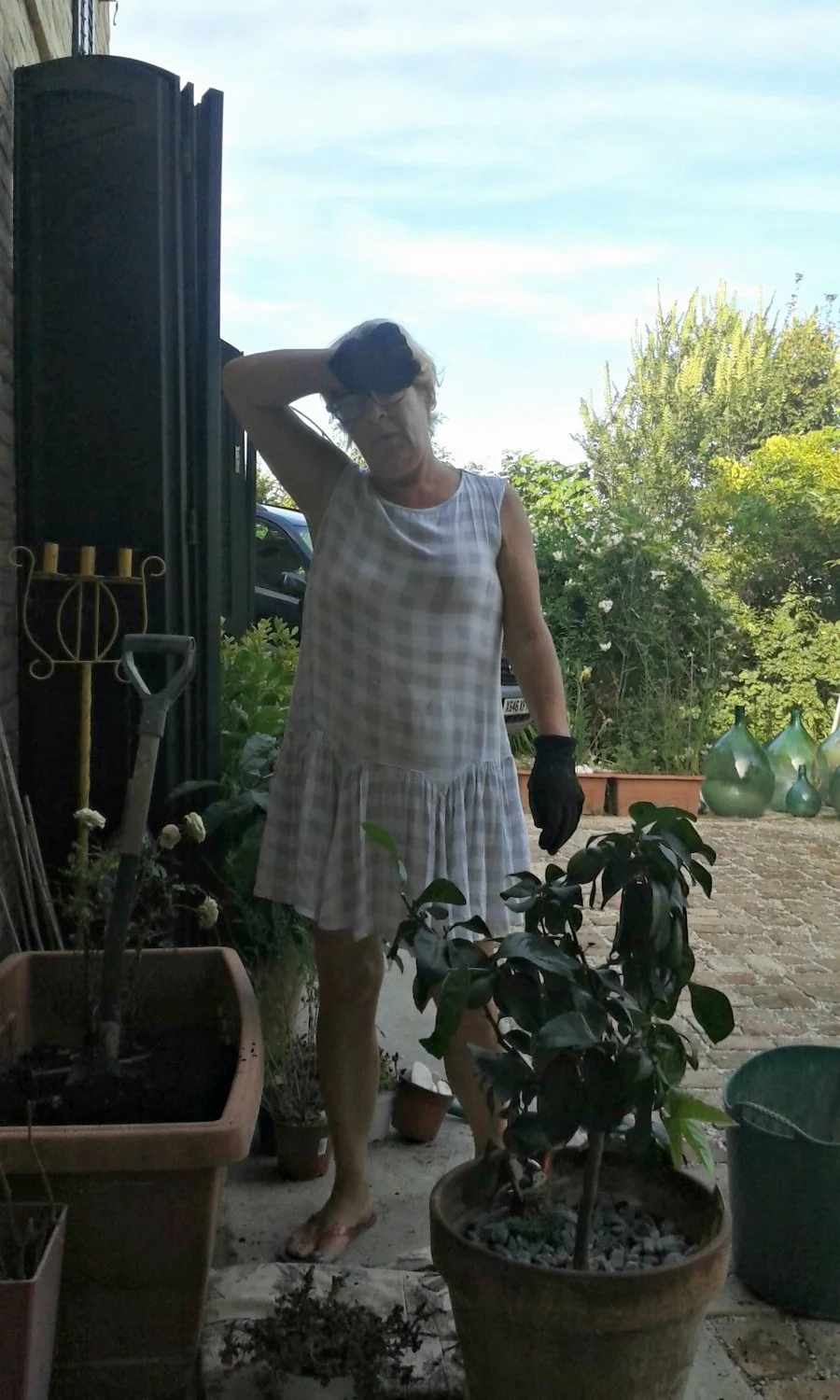 In the garden image 9