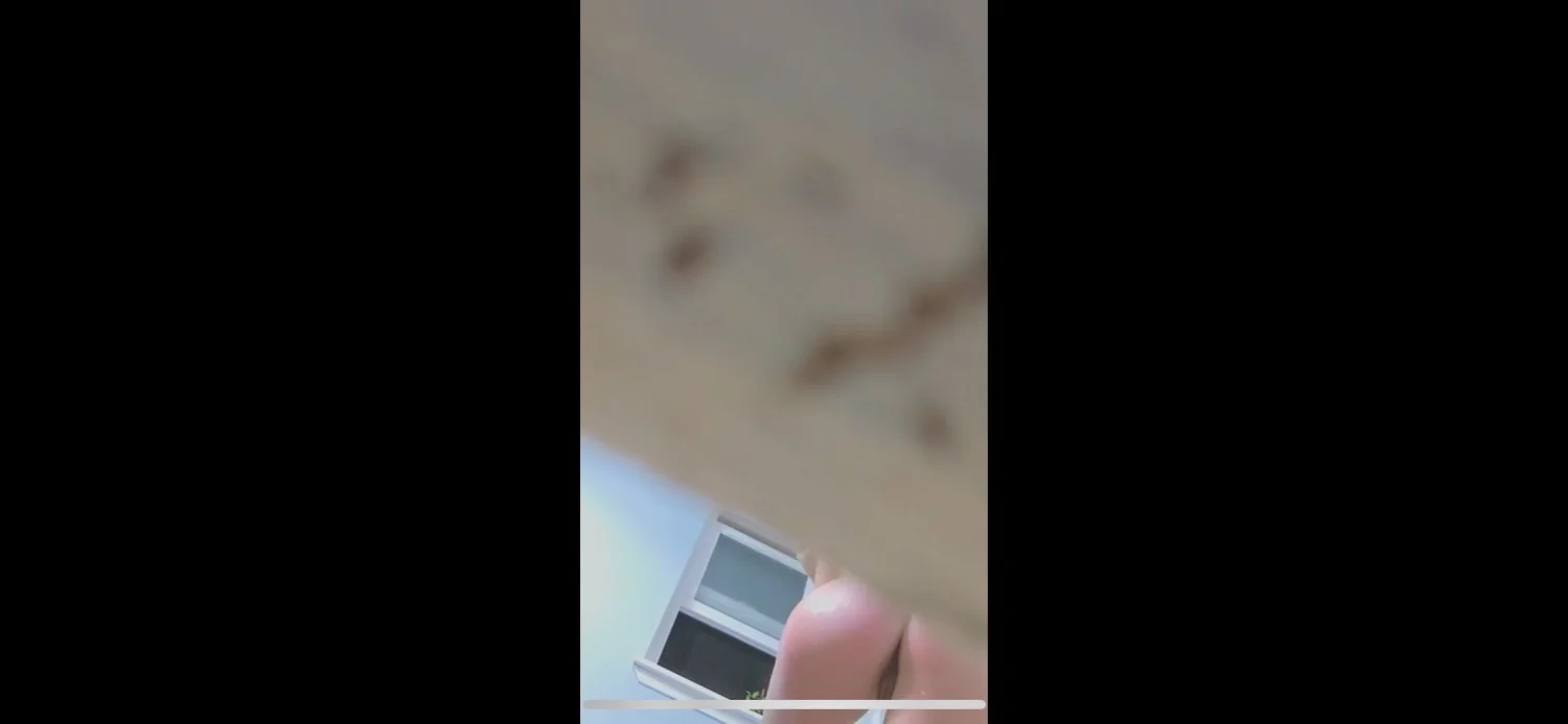 Secretly Recording My Sister Shower image 1