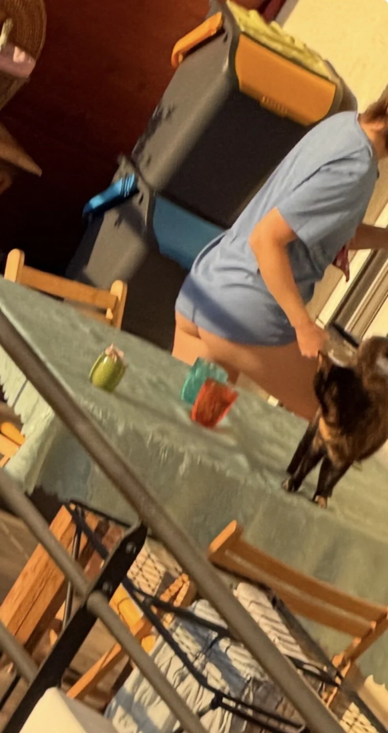 Neighbor panty spy creepshot voyeur image 2