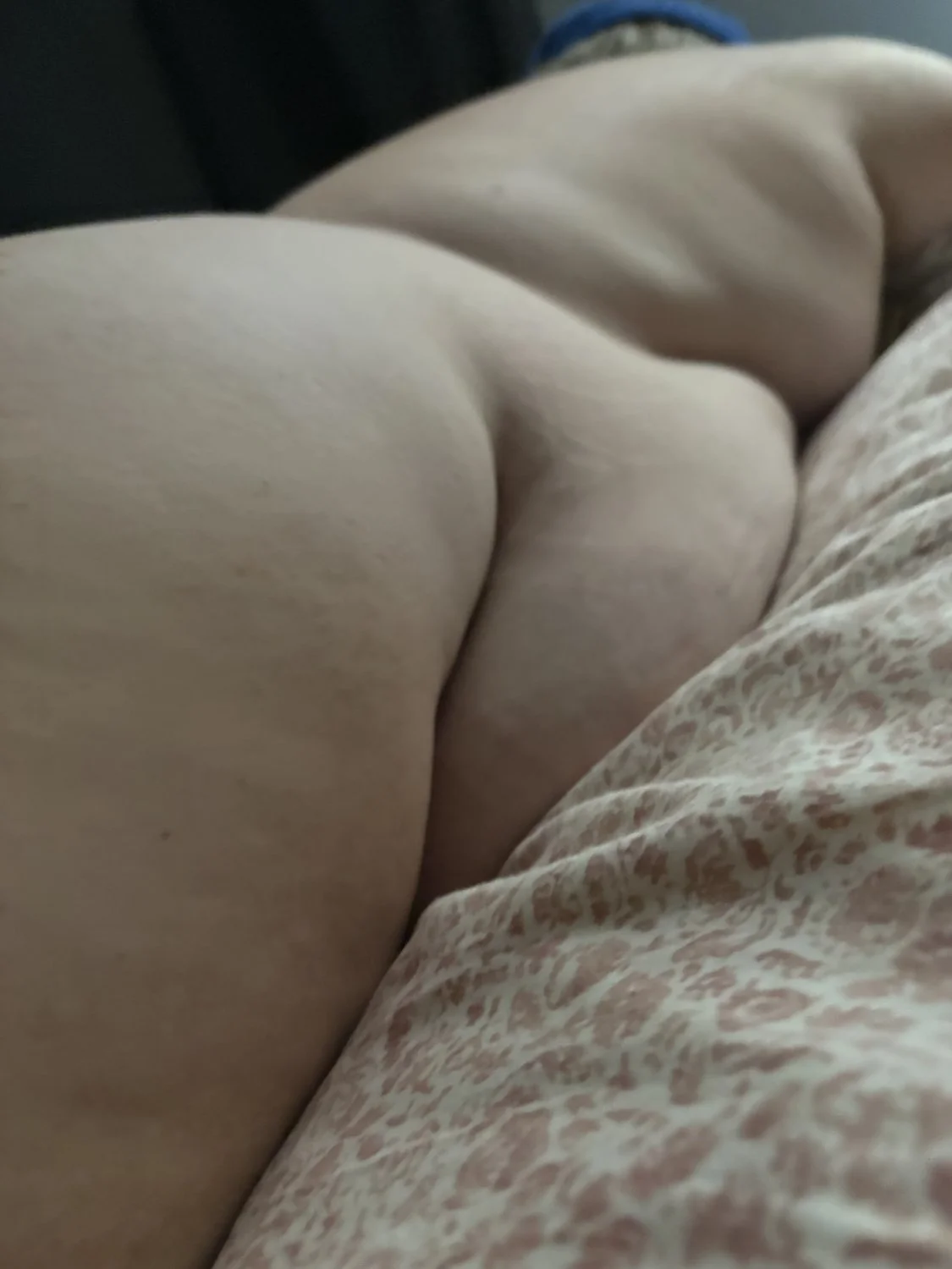 Cass is 242 pounds of fat pig image 23
