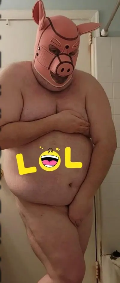 the jiggling piggy cover image