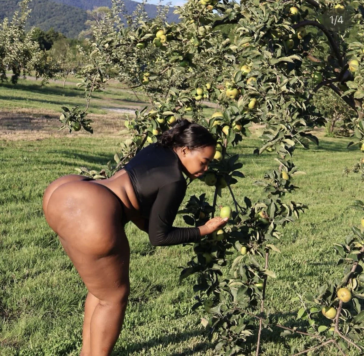 Babe Empire image 17