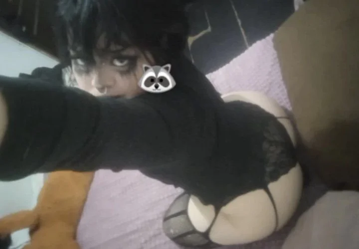 Gótica🇲🇽(ghost racoon). Pt4 image 4