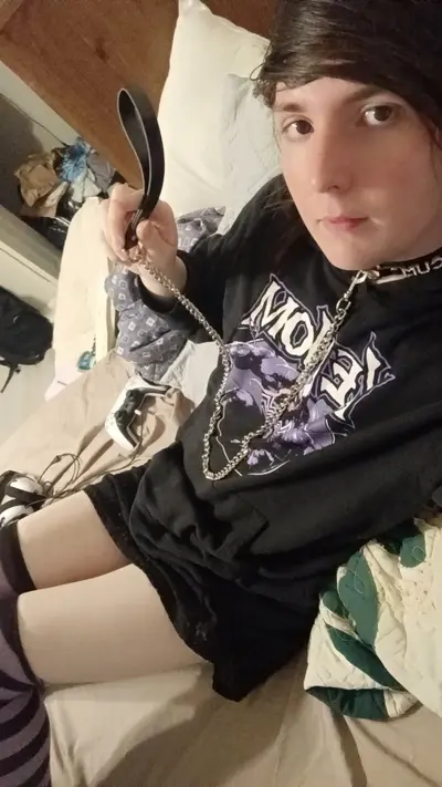 Kinky leashed femboys cover image