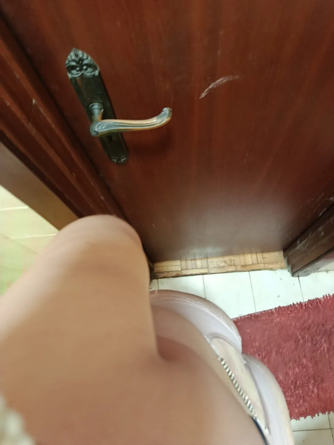 🇵🇹 Veronica Barroso image 6