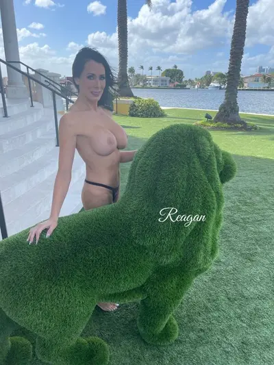 MILF REAGAN FOXX™️ cover image