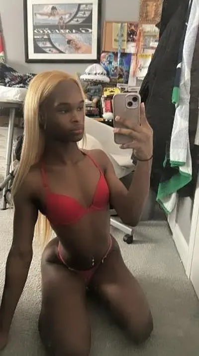 TS Trini (Brooklyn) cover image