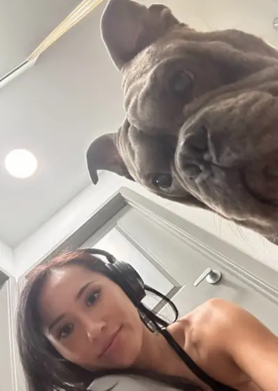 I like dogs and dog style, how about you cover image
