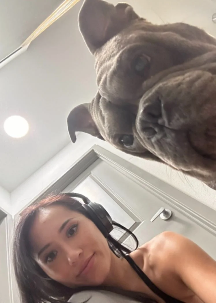 I like dogs and dog style, how about you main image