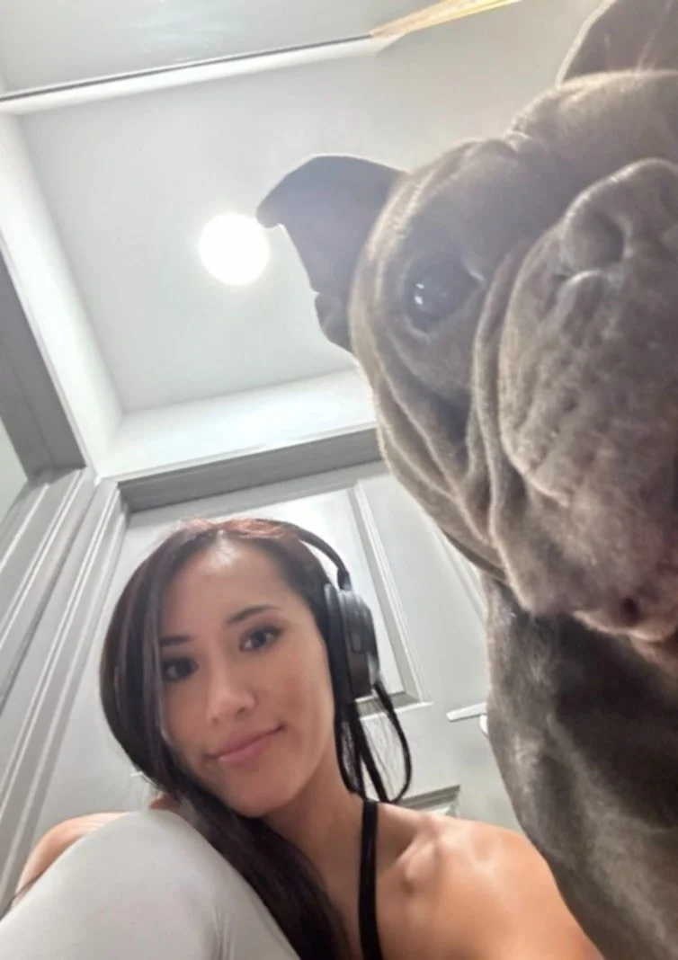 I like dogs and dog style, how about you image 2
