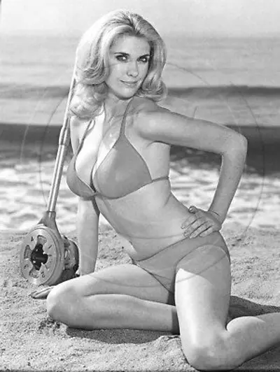 Beautiful Coleen Camp cover image