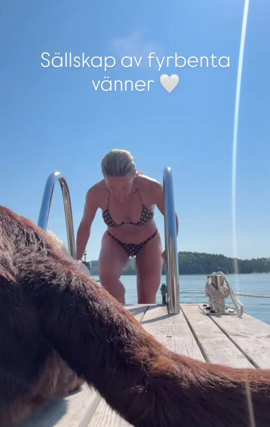 Swedish Celeb Mix image 27
