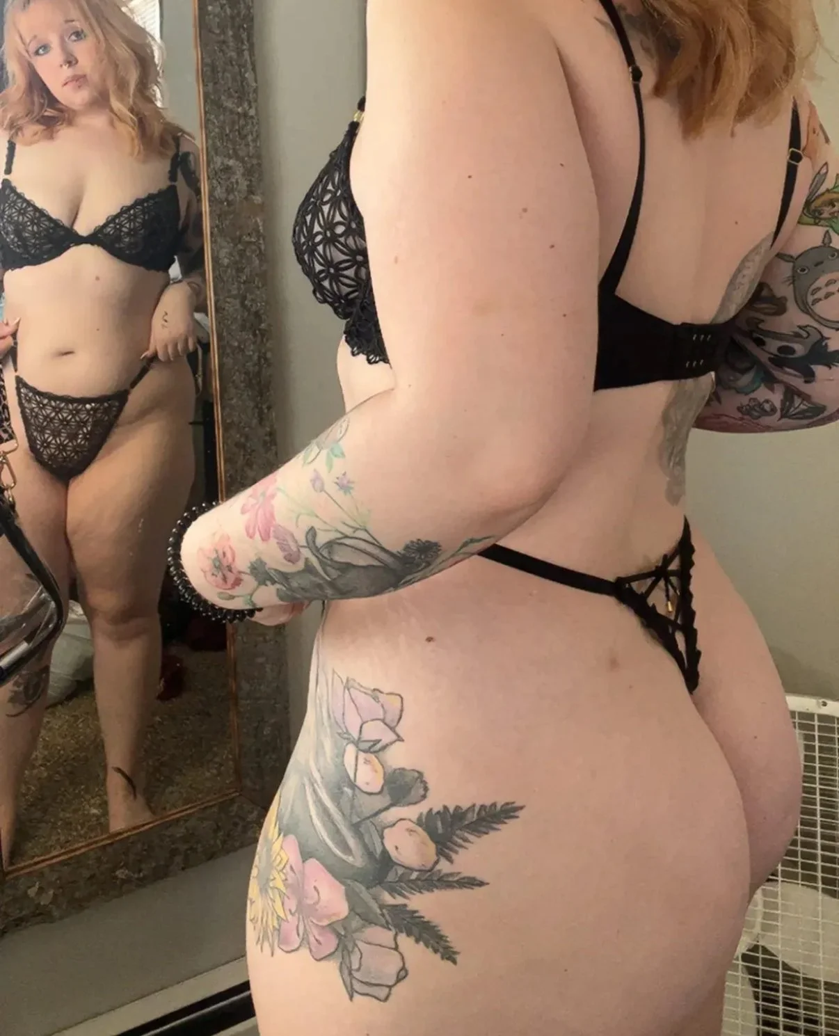 Pawg main image