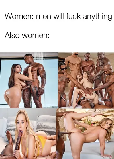 No One Can Resist cover image