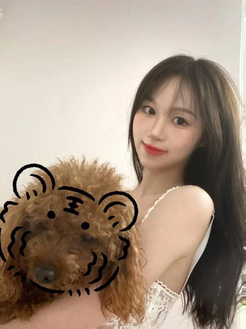 ⠀ main image