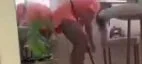 Yt Rotin^ image 21
