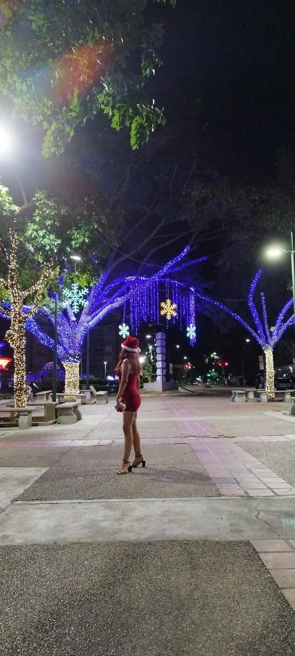 Sofía de Puebla, Parte 3 image 26