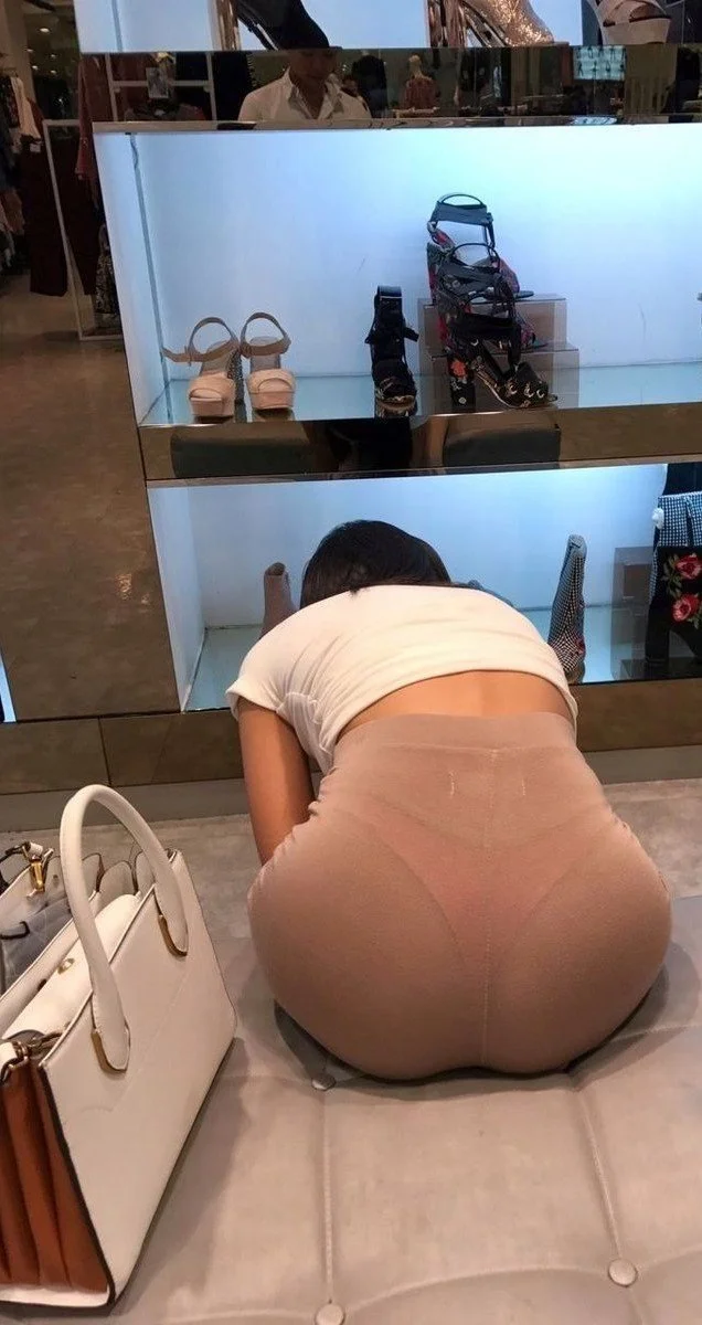 Gran aportación de un seguidor 🤩😻 image 3