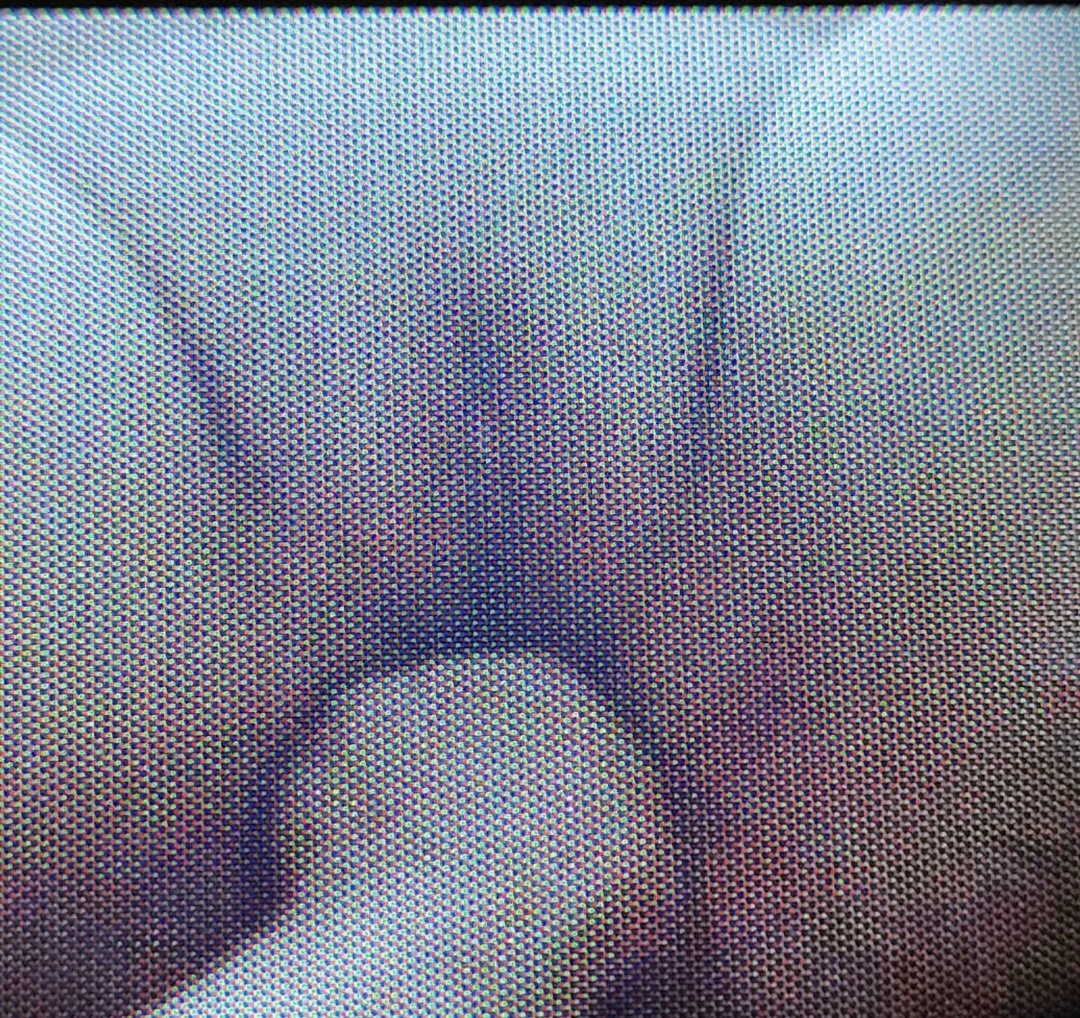 Whore Els image 11