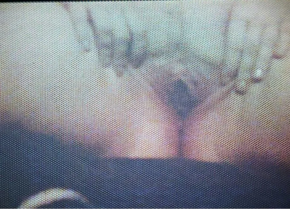 Whore Els image 3