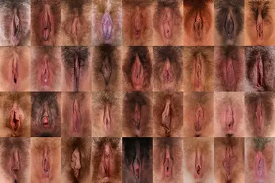Vagina_collage_06 cover image