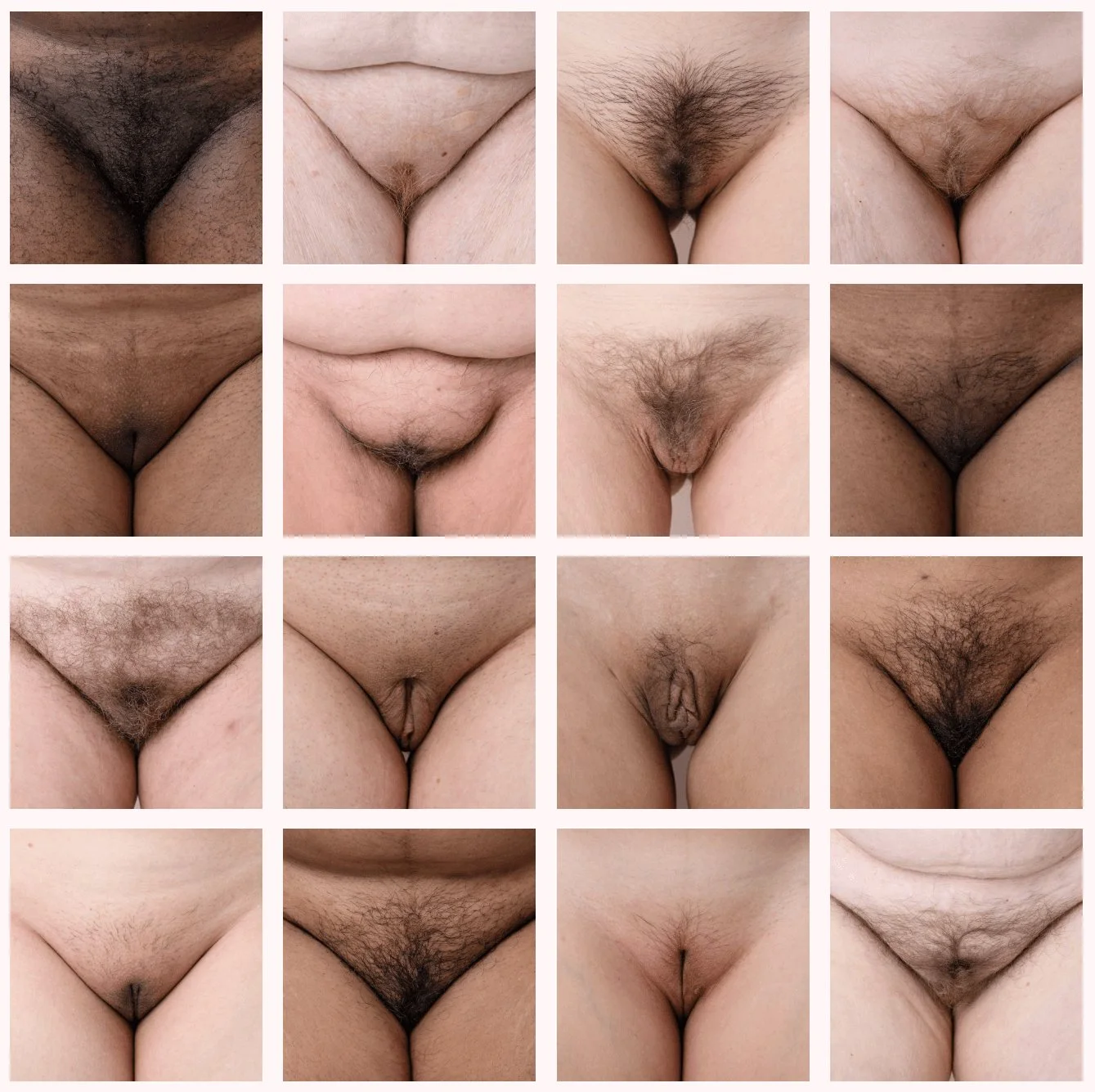 Vagina_collage_06 image 6