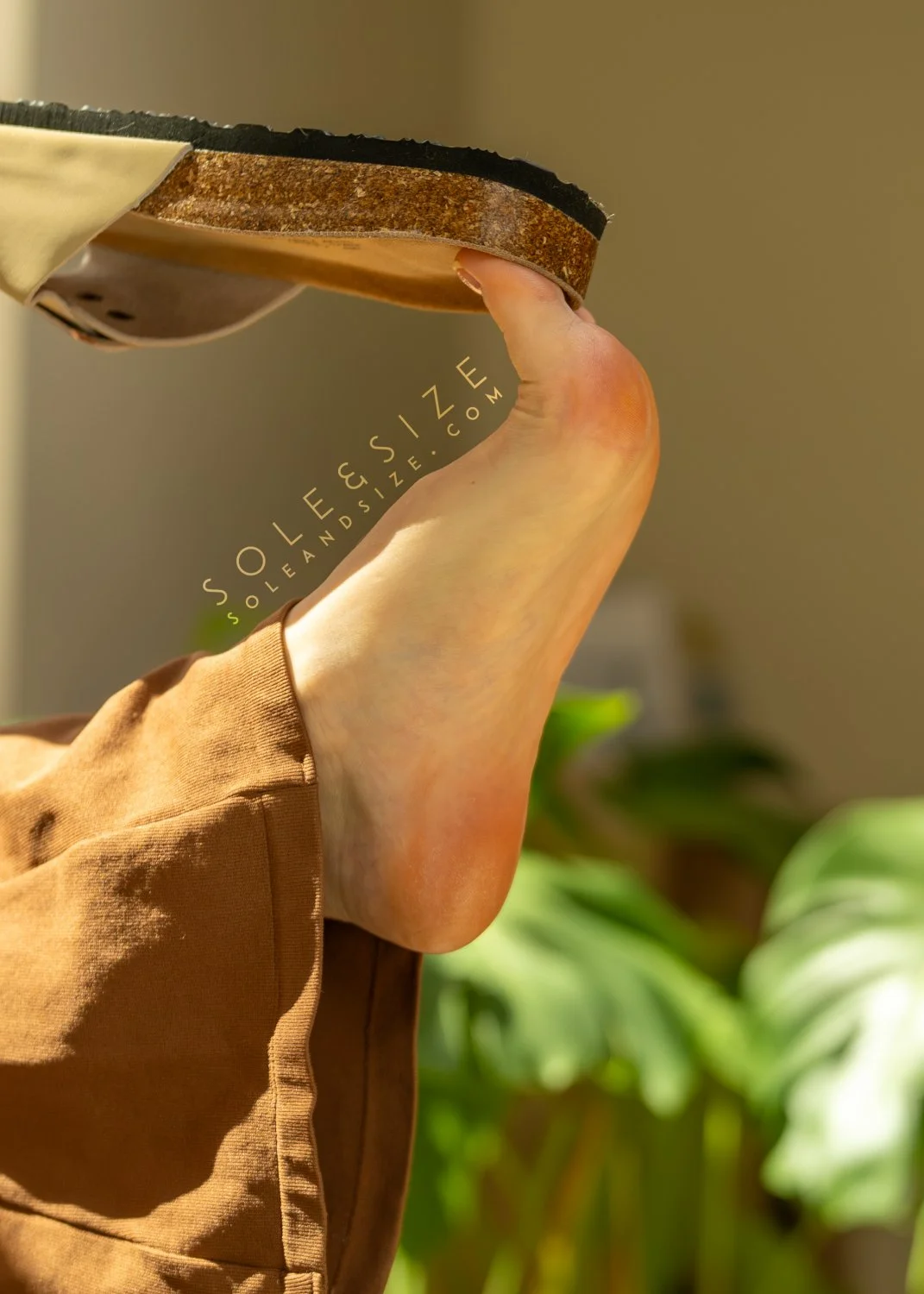 SoleAndSize image 2
