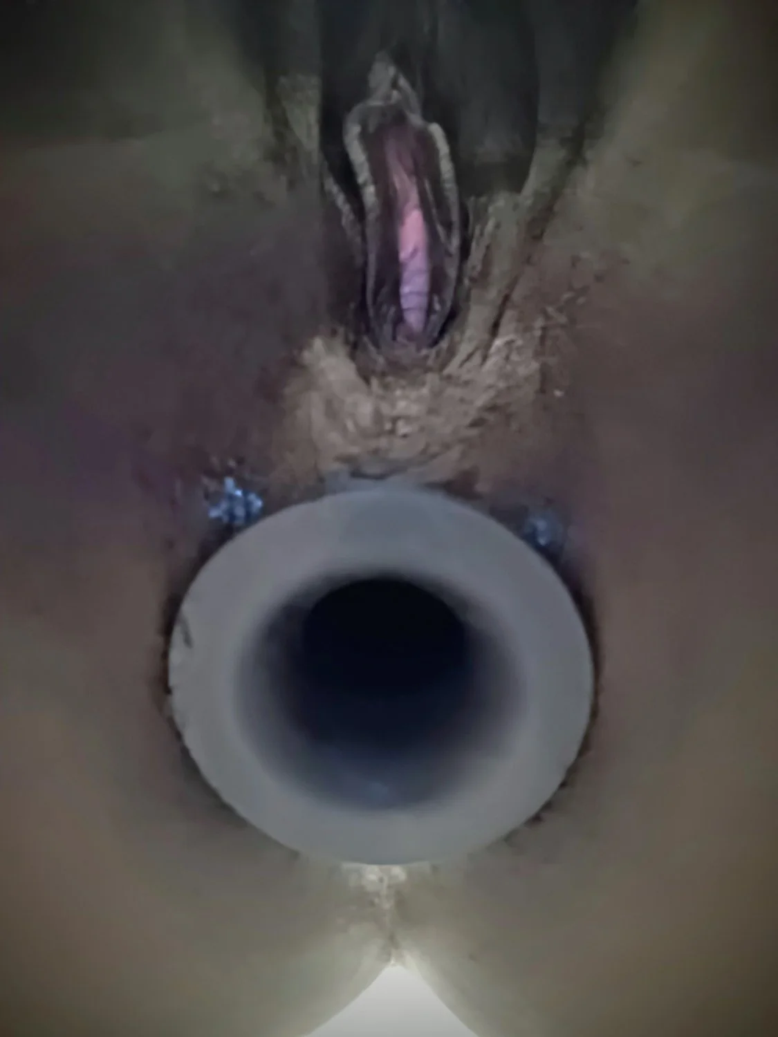 Owned ebony pig image 5