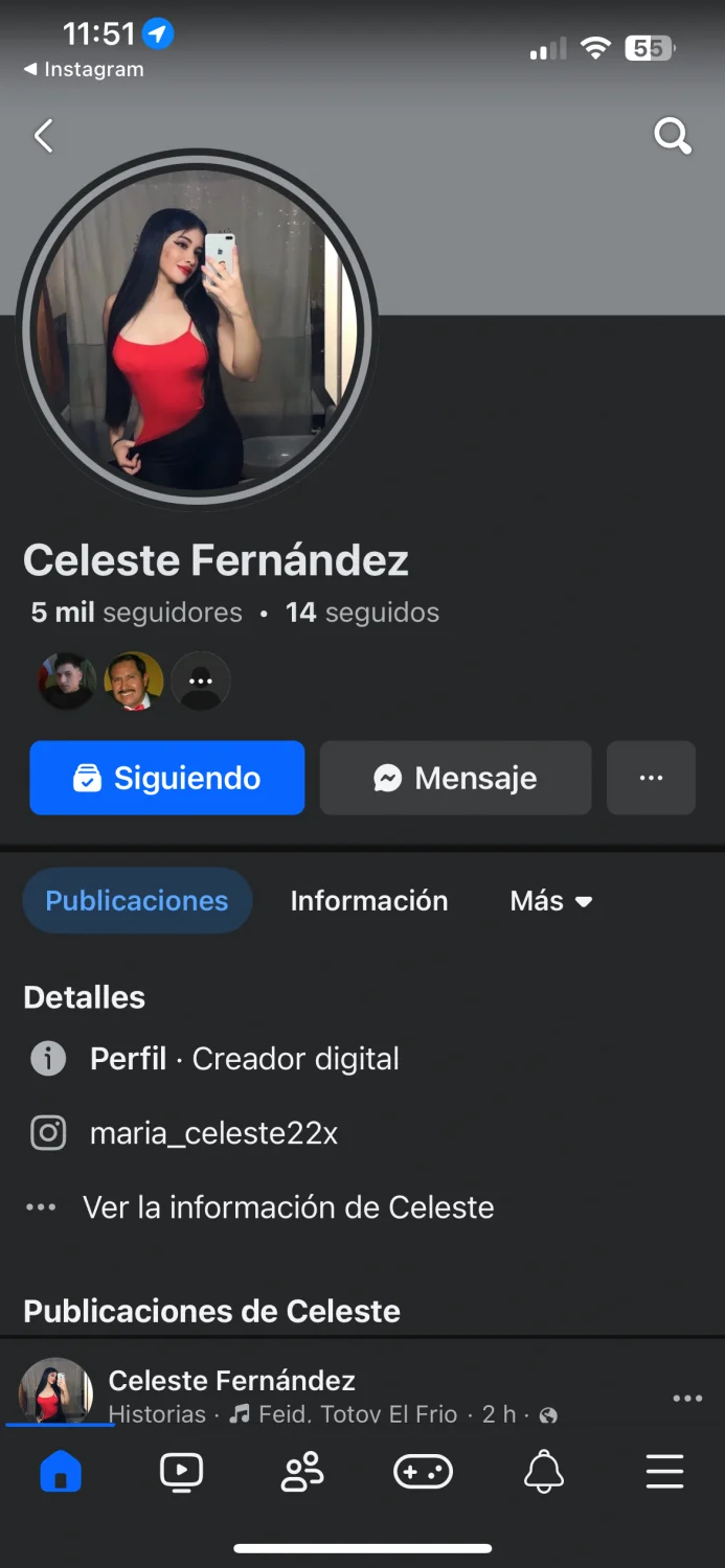 Peruana Flavia Hernández image 6