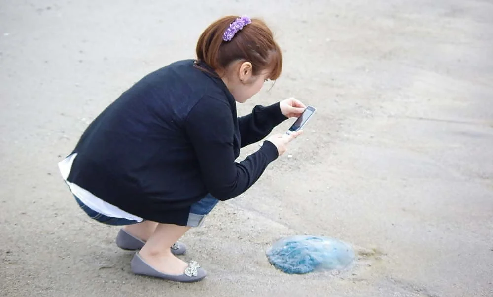 お気に入りのぽちゃこさん image 4