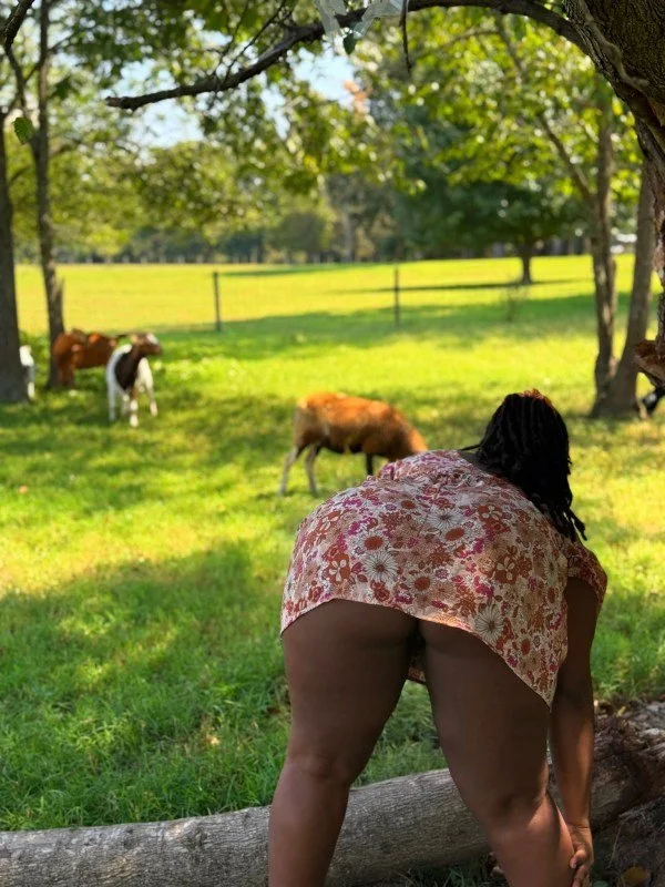 Ivy the Black Ebony Fat Ass that Loves BWC and Raceplay image 5