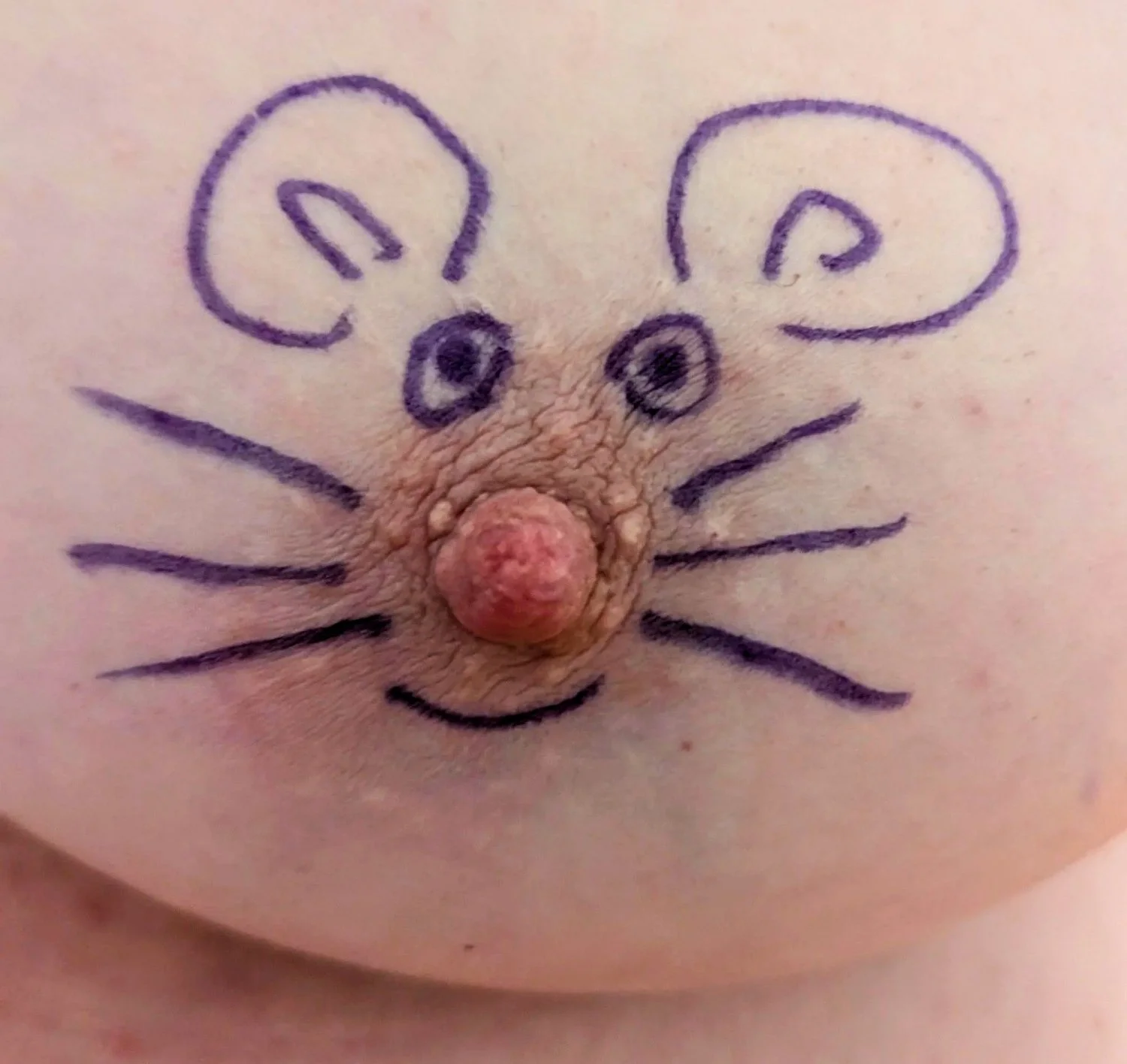 Fat Slut piggy wife image 11