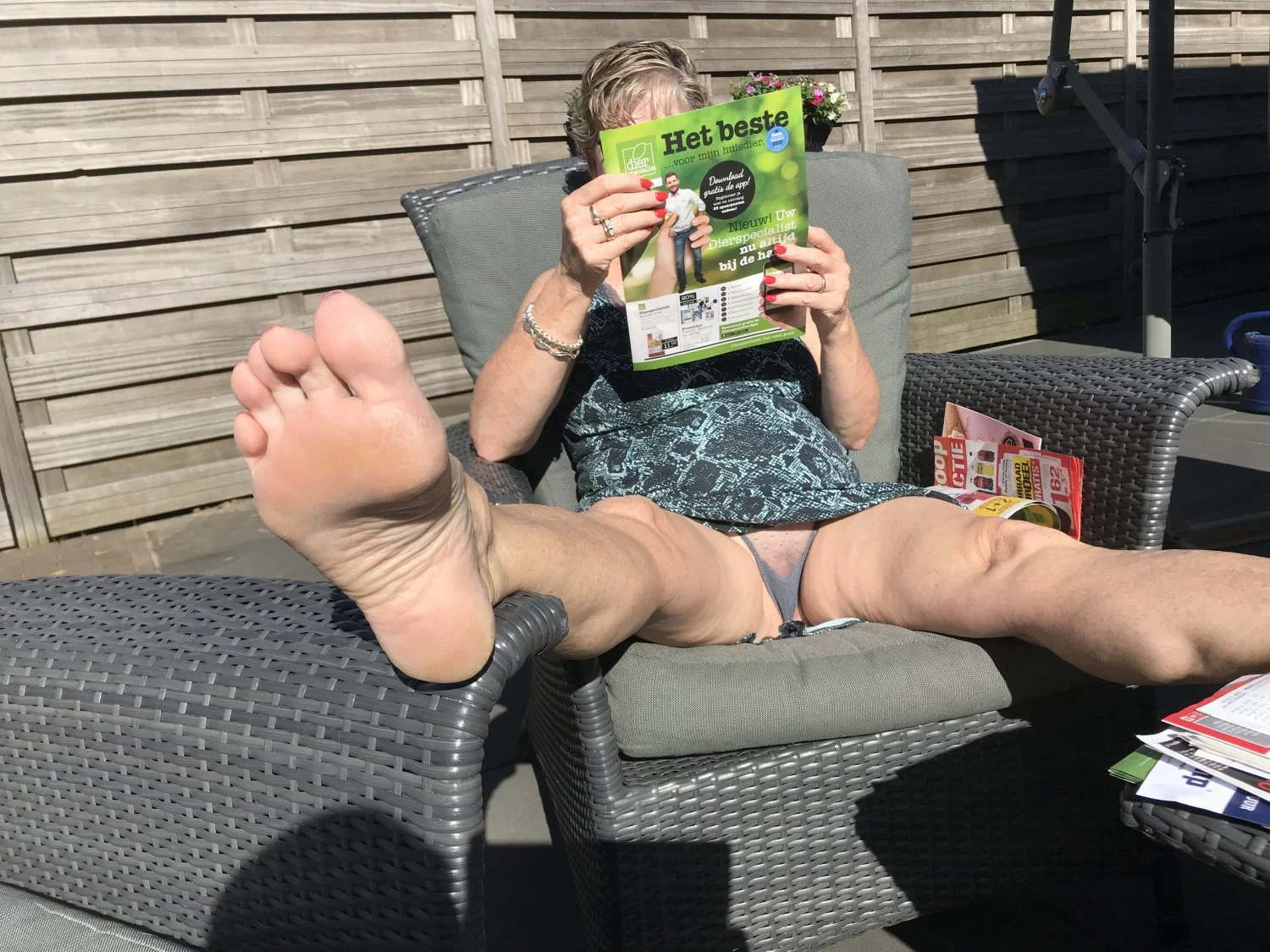 Dutch Gilf image 27
