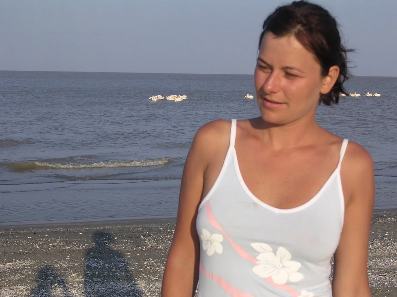On the Beach image 37