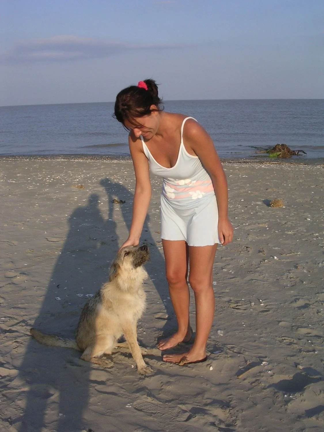 On the Beach image 4