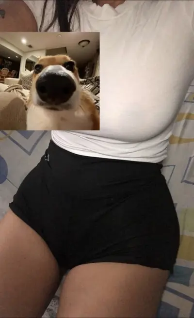 Big ass teen cover image