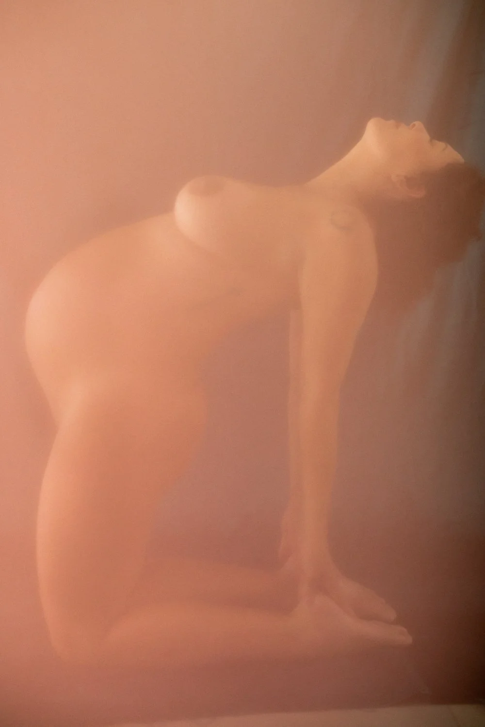 Pregnant MILF image 2