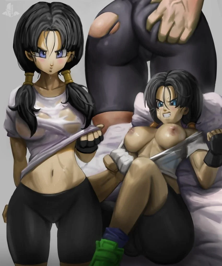 Videl 2/24 image 27