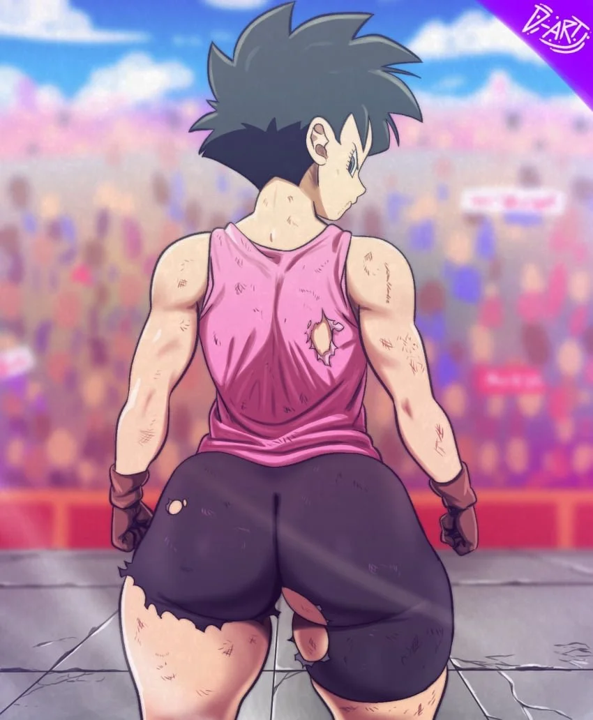 Videl 2/24 image 32