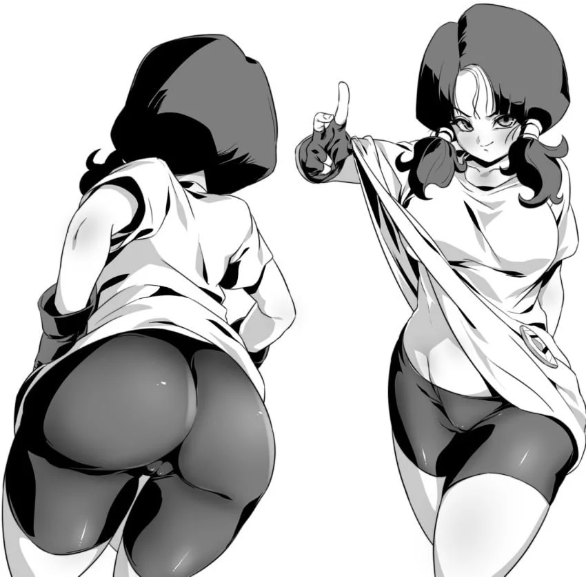 Videl 2/24 image 46