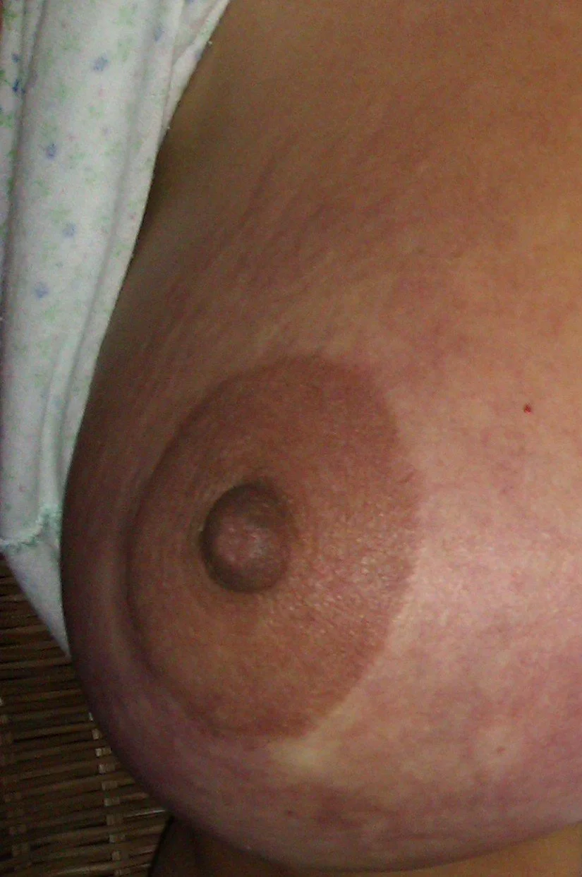 Isabel Oro 2 image 7