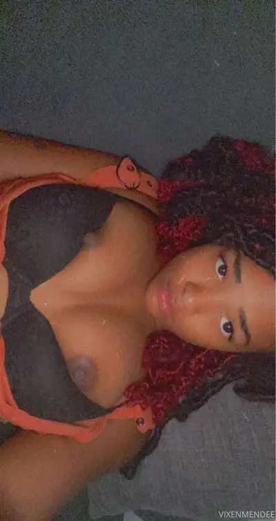 mendee da vixen cover image