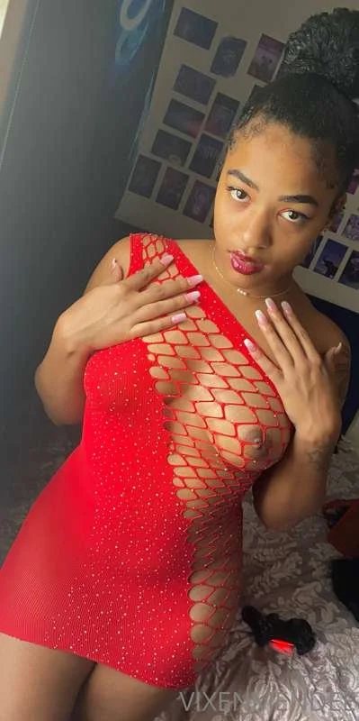 mendee da vixen image 2