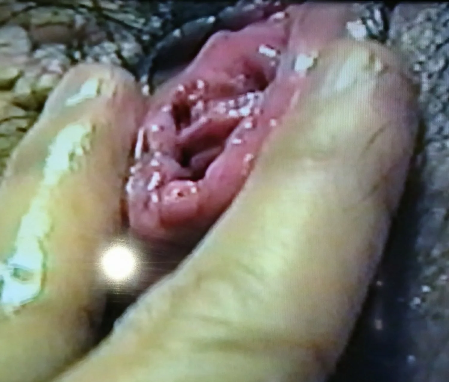 食パンじゃない：リアル超熟 image 15
