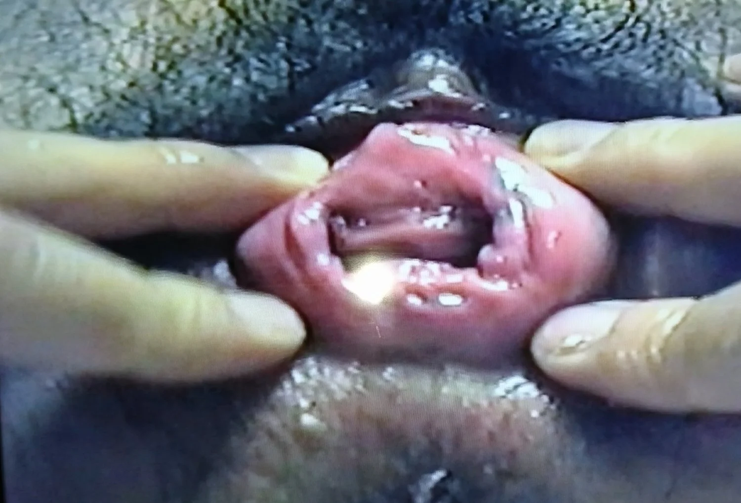 食パンじゃない：リアル超熟 image 17